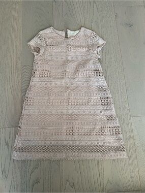 Zara Girls Lace A-Line Dress in Blush